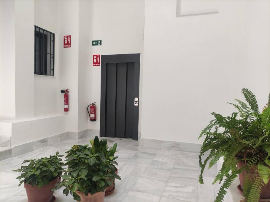 Calm & Design Suite Sevilha Exterior foto